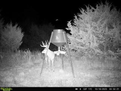 Killer Osage County, Kansas 147± Acres - image 39