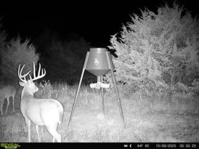 Killer Osage County, Kansas 147± Acres - image 37