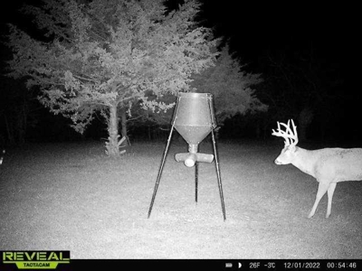 Killer Osage County, Kansas 147± Acres - image 6