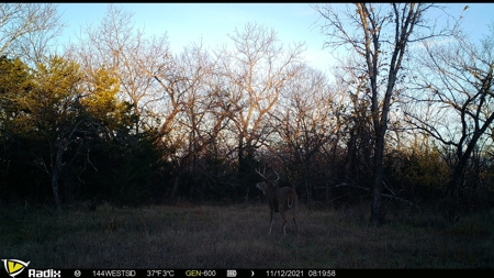 Killer Osage County, Kansas 147± Acres - image 29