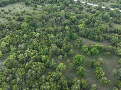 Killer Osage County, Kansas 147± Acres - image 30