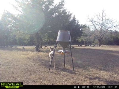 Killer Osage County, Kansas 147± Acres - image 3