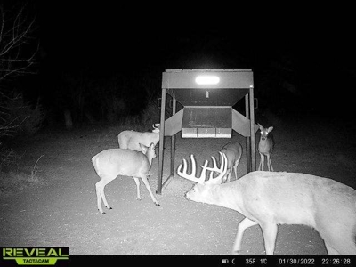 Killer Osage County, Kansas 147± Acres - image 5