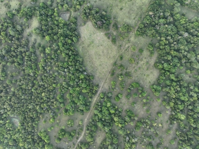 Killer Osage County, Kansas 147± Acres - image 21