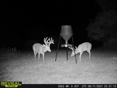 Killer Osage County, Kansas 147± Acres - image 34