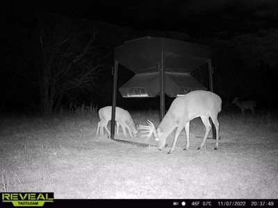Killer Osage County, Kansas 147± Acres - image 4
