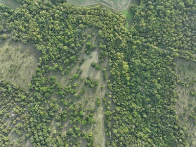 Killer Osage County, Kansas 147± Acres - image 22