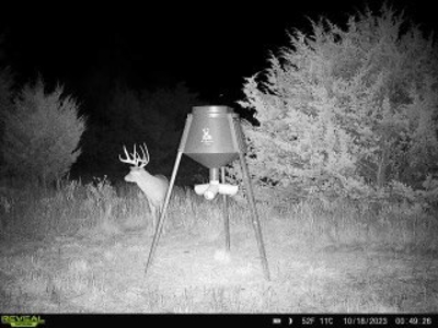 Killer Osage County, Kansas 147± Acres - image 45