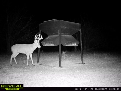 Killer Osage County, Kansas 147± Acres - image 8