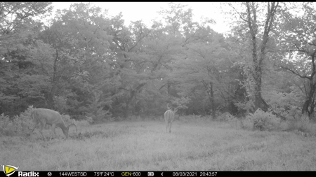 Killer Osage County, Kansas 147± Acres - image 43