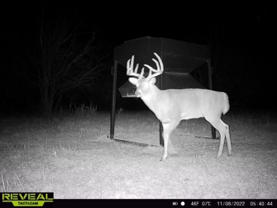 Killer Osage County, Kansas 147± Acres - image 38