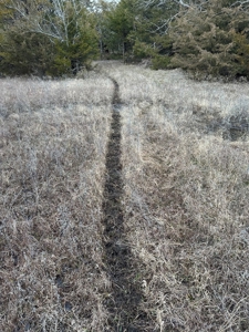 Killer Osage County, Kansas 147± Acres - image 11