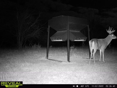 Killer Osage County, Kansas 147± Acres - image 36