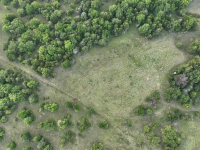 Killer Osage County, Kansas 147± Acres - image 26