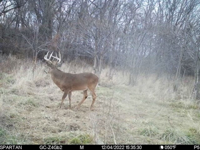 Killer Osage County, Kansas 147± Acres - image 7
