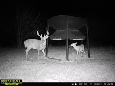 Killer Osage County, Kansas 147± Acres - image 49