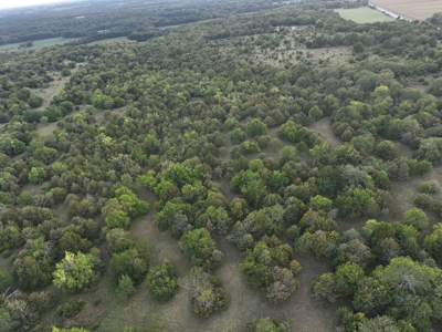 Killer Osage County, Kansas 147± Acres - image 25