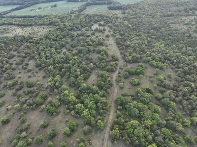 Killer Osage County, Kansas 147± Acres - image 27