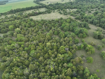 Killer Osage County, Kansas 147± Acres - image 28