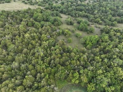 Killer Osage County, Kansas 147± Acres - image 33