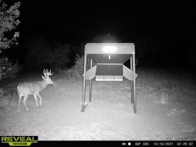 Killer Osage County, Kansas 147± Acres - image 47