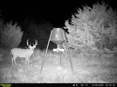 Killer Osage County, Kansas 147± Acres - image 40