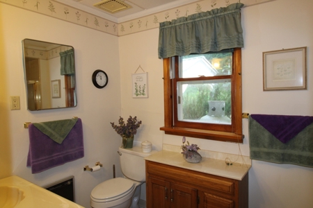 Development opportunity in Roscoe, NY - image 7