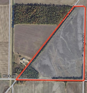 Row Crop Farm For Sale With Income In Clay County Arkansas - image 1