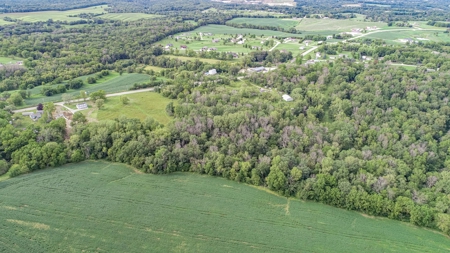 10.46 Buildable Acres on Hard Surface - Anamosa / Fairview - image 2