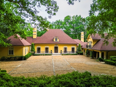 Luxury European-style estate home in Ball Ground Georgia - image 1