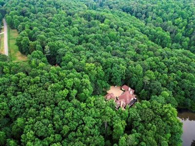 Luxury European-style estate home in Ball Ground Georgia - image 49