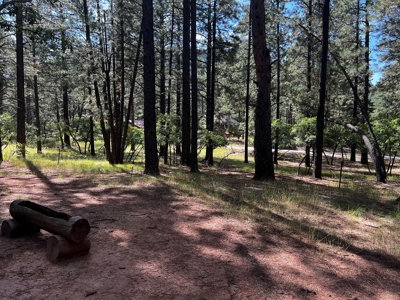 Cabin For Sale in the Beautiful Brazos Lodge Estates - image 7