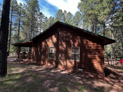 Cabin For Sale in the Beautiful Brazos Lodge Estates - image 8