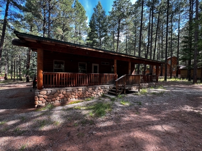 Cabin For Sale in the Beautiful Brazos Lodge Estates - image 5