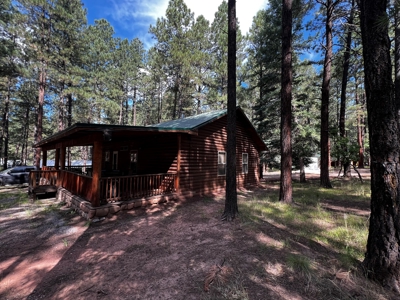 Cabin For Sale in the Beautiful Brazos Lodge Estates - image 6