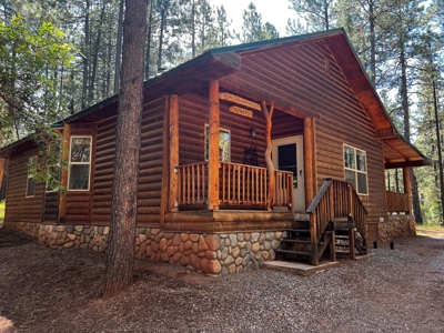 Cabin For Sale in the Beautiful Brazos Lodge Estates - image 1