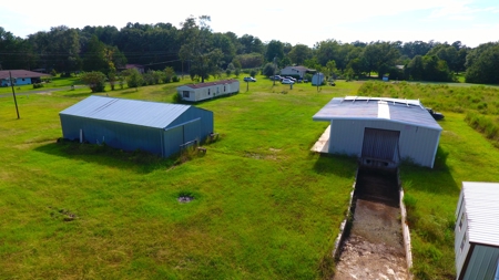 Profitable Blueberry Farm in Kountze, TX - image 14