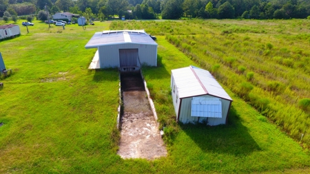 Profitable Blueberry Farm in Kountze, TX - image 15