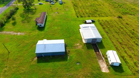 Profitable Blueberry Farm in Kountze, TX - image 13