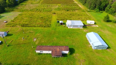 Profitable Blueberry Farm in Kountze, TX - image 12