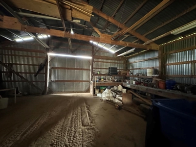 Profitable Blueberry Farm in Kountze, TX - image 11