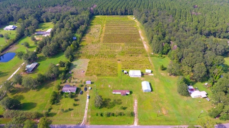Profitable Blueberry Farm in Kountze, TX - image 27