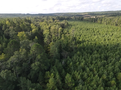 River Frontage on the Antoine River in Clark County, AR - image 26