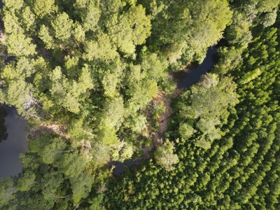 River Frontage on the Antoine River in Clark County, AR - image 31