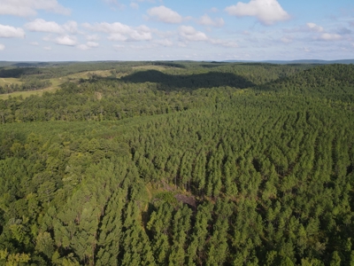 River Frontage on the Antoine River in Clark County, AR - image 39