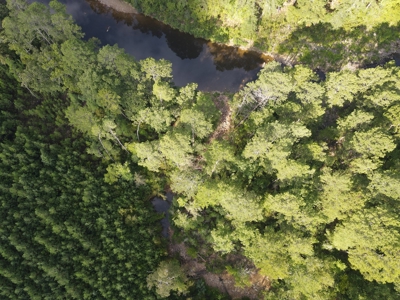River Frontage on the Antoine River in Clark County, AR - image 30