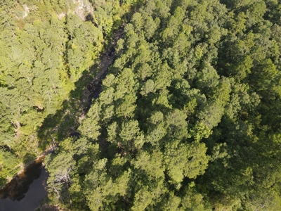 River Frontage on the Antoine River in Clark County, AR - image 32