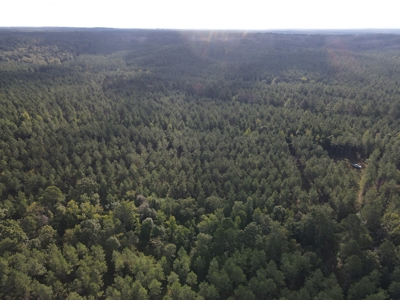River Frontage on the Antoine River in Clark County, AR - image 34