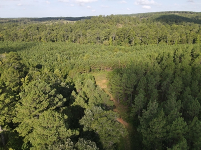 River Frontage on the Antoine River in Clark County, AR - image 18