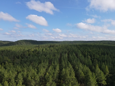 River Frontage on the Antoine River in Clark County, AR - image 17